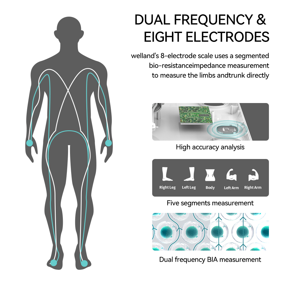 Smart 8 Electrode Scale Bioimp - Body Fat Scale Smart review and price