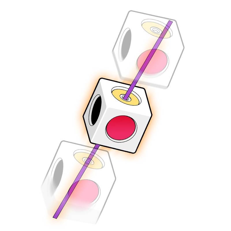 Obedient Cube Learning Safety  - Electronics And Gadgets With Y review and price